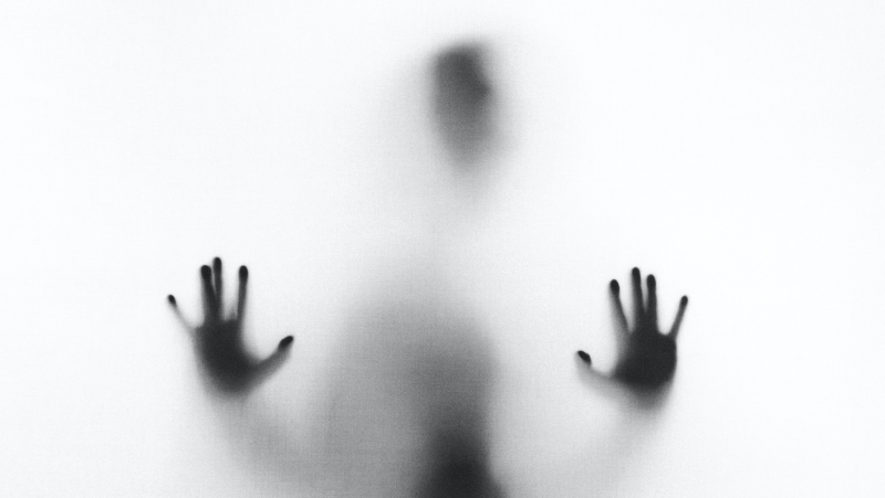 stefano-pollio-zc0ebdlc8g0-unsplash