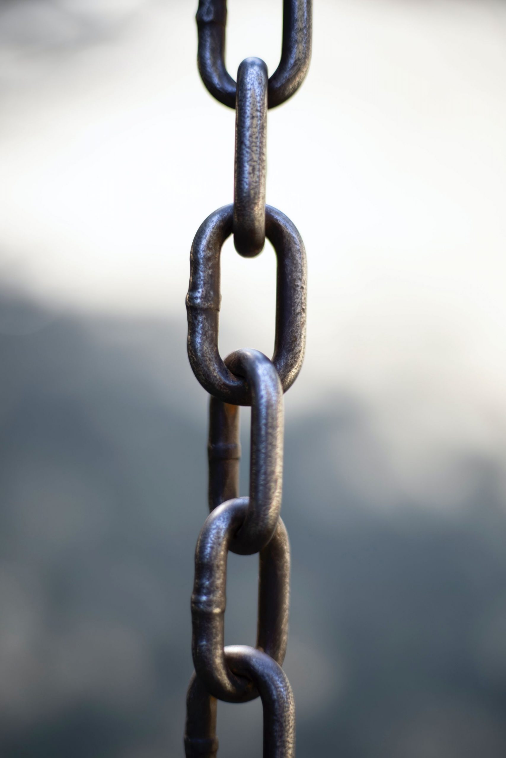 felicia-montenegro-vknwrmnxahg-unsplash