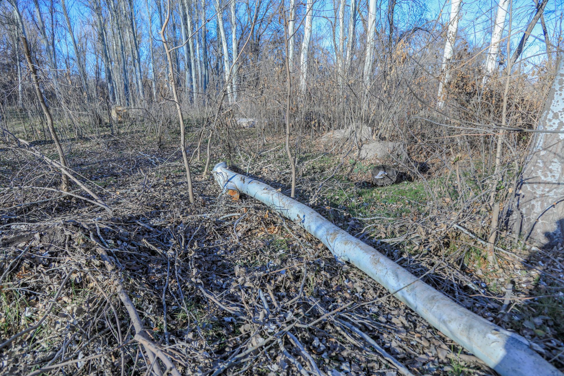 collab-media-8rpl-kul3pa-unsplash
