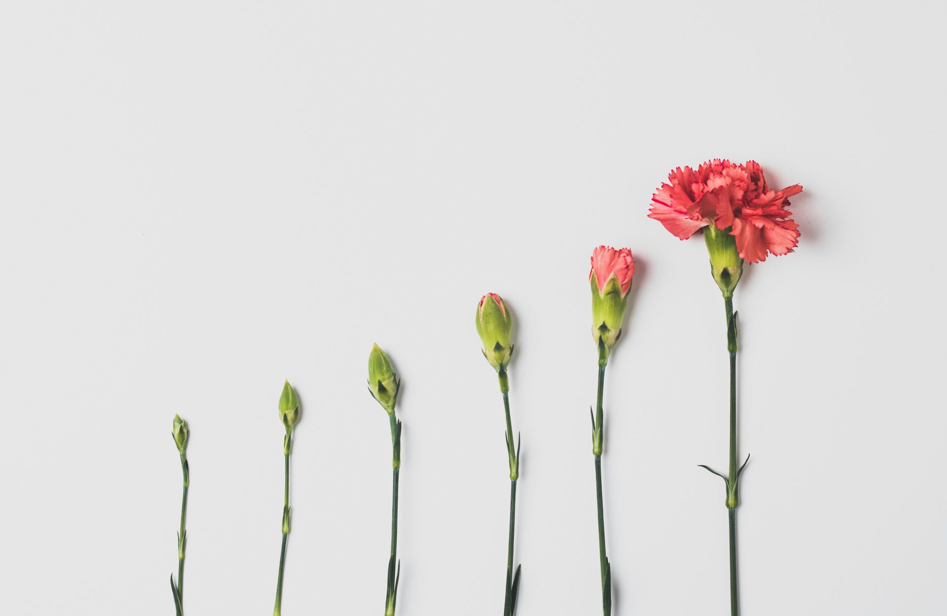 edward-howell-vltjdp8zy1c-unsplash