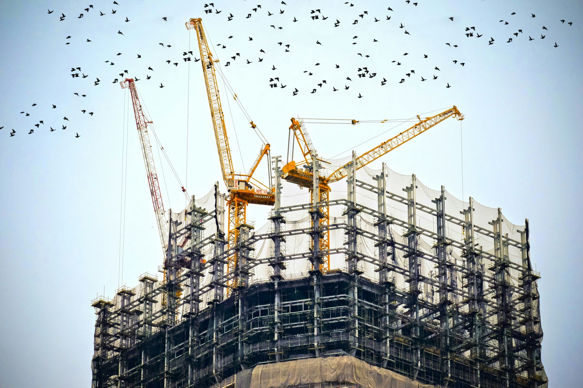 danist-soh-8gg2ne-utcm-unsplash