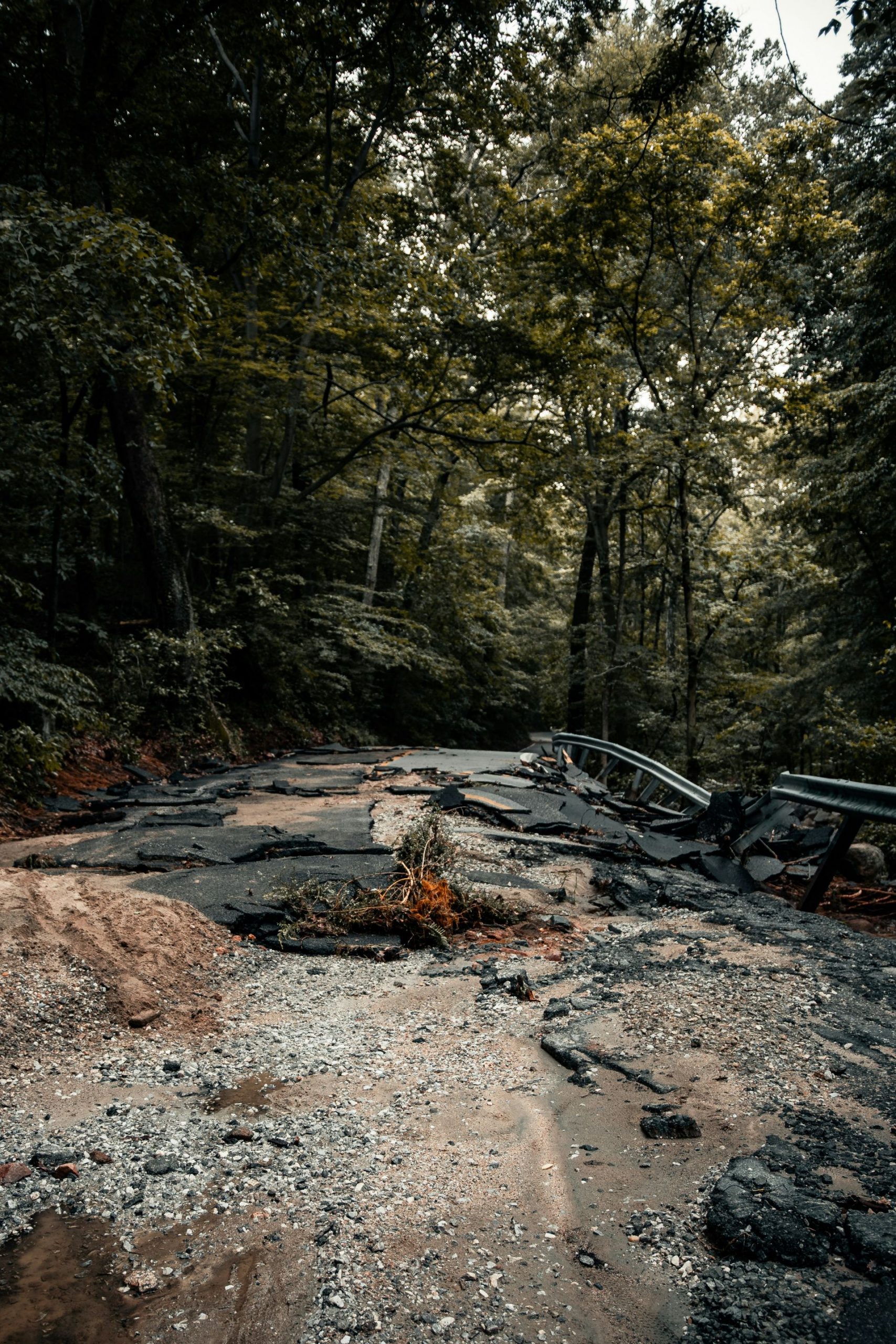 colin-lloyd-5ogkxlaaxvo-unsplash