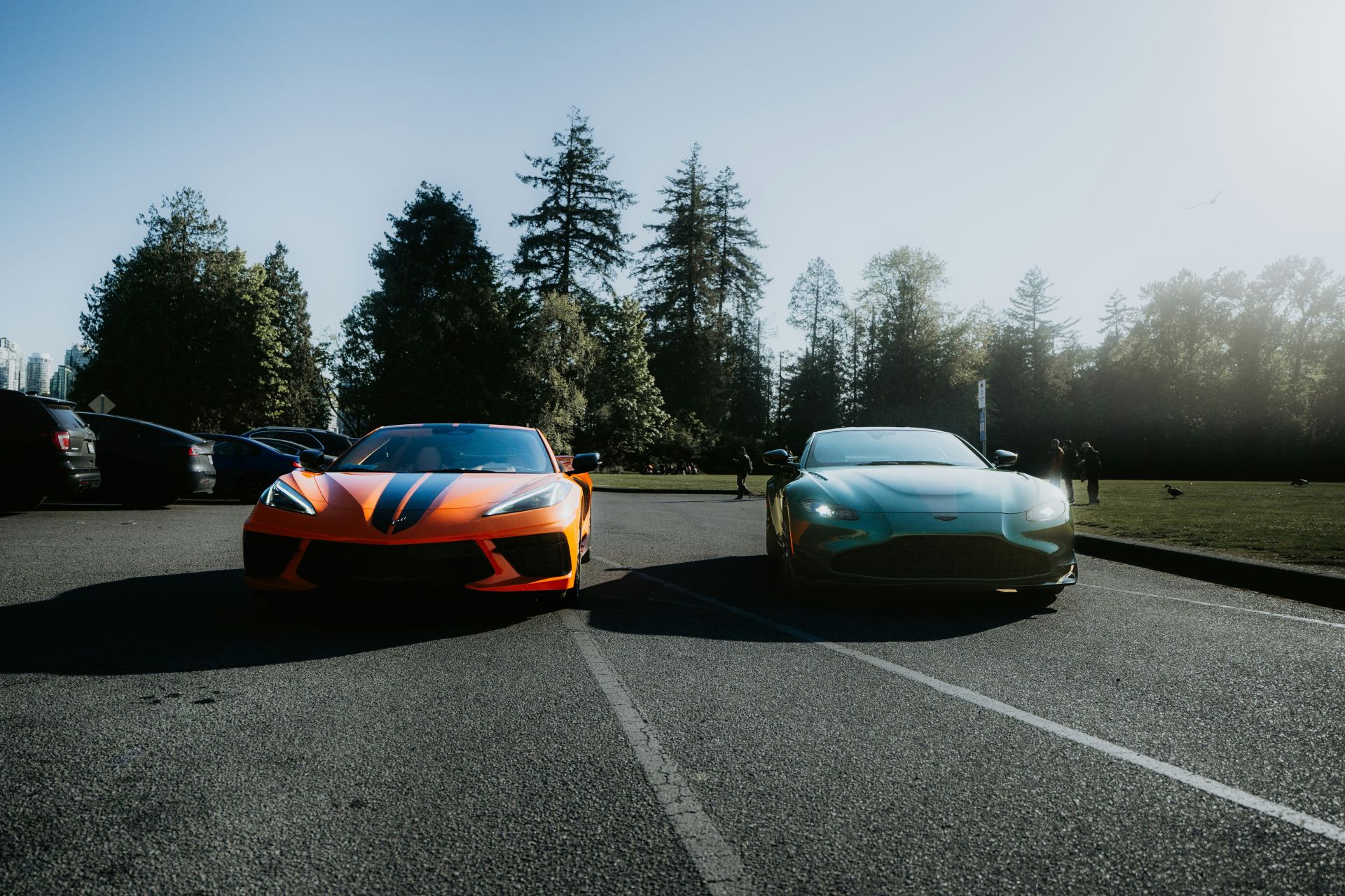 luke-miller-wja4brblm0u-unsplash
